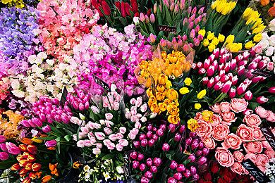 Xbox山寨版《战神》已从商店中下架 现无法购买